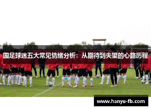 国足球迷五大常见情绪分析:从期待到失望的心路历程 国足球迷五大常见情绪分析:从期待到失望的心路历程