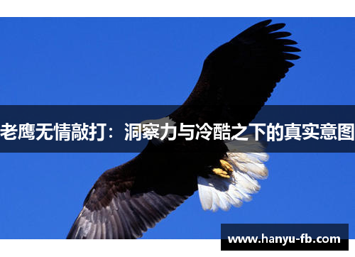 老鹰无情敲打:洞察力与冷酷之下的真实意图 老鹰无情敲打:洞察力与冷酷之下的真实意图